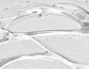 Paraben Free