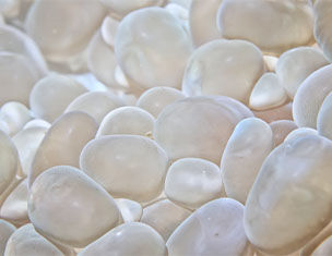 1.3% Hyaluronic Acid