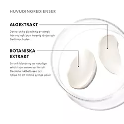 Huvudingredienser